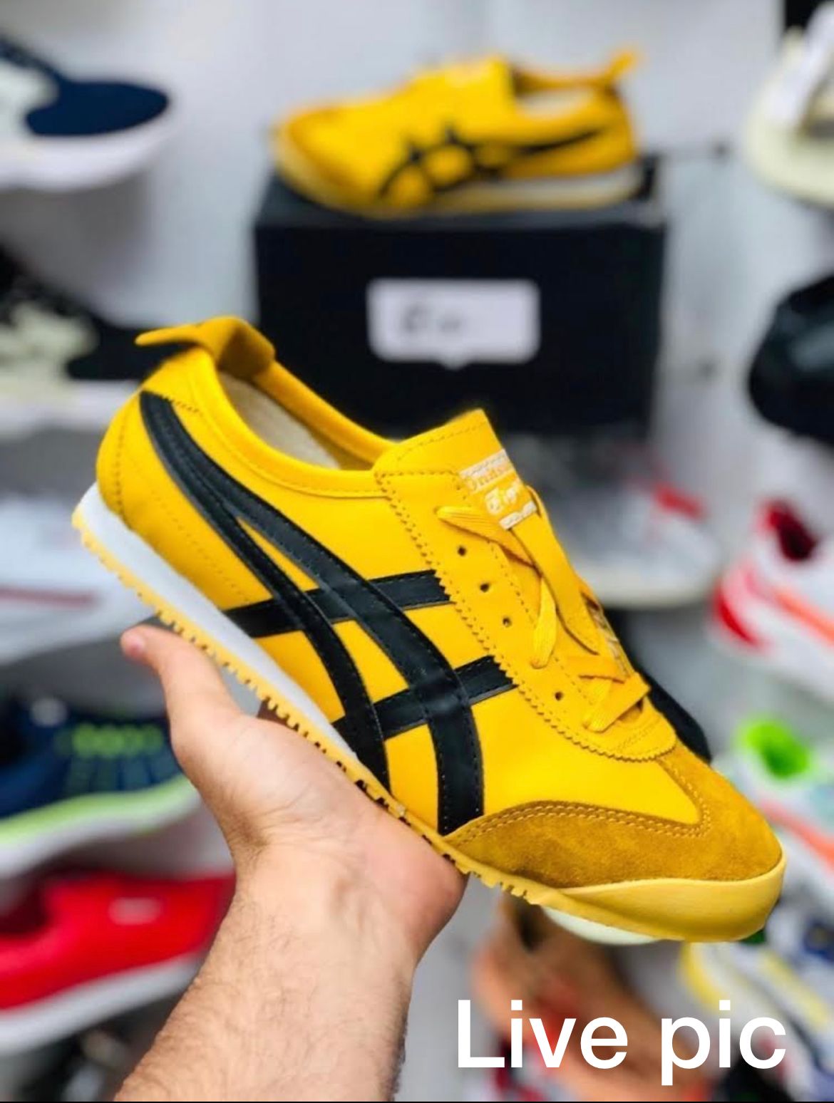 ﻿Onitsuka Tiger Sneaker