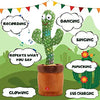 Smart Dancing Cactus Talking Toy with Singing & Recording Function Repeat What You Say