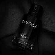Sauvage Dior Perfume